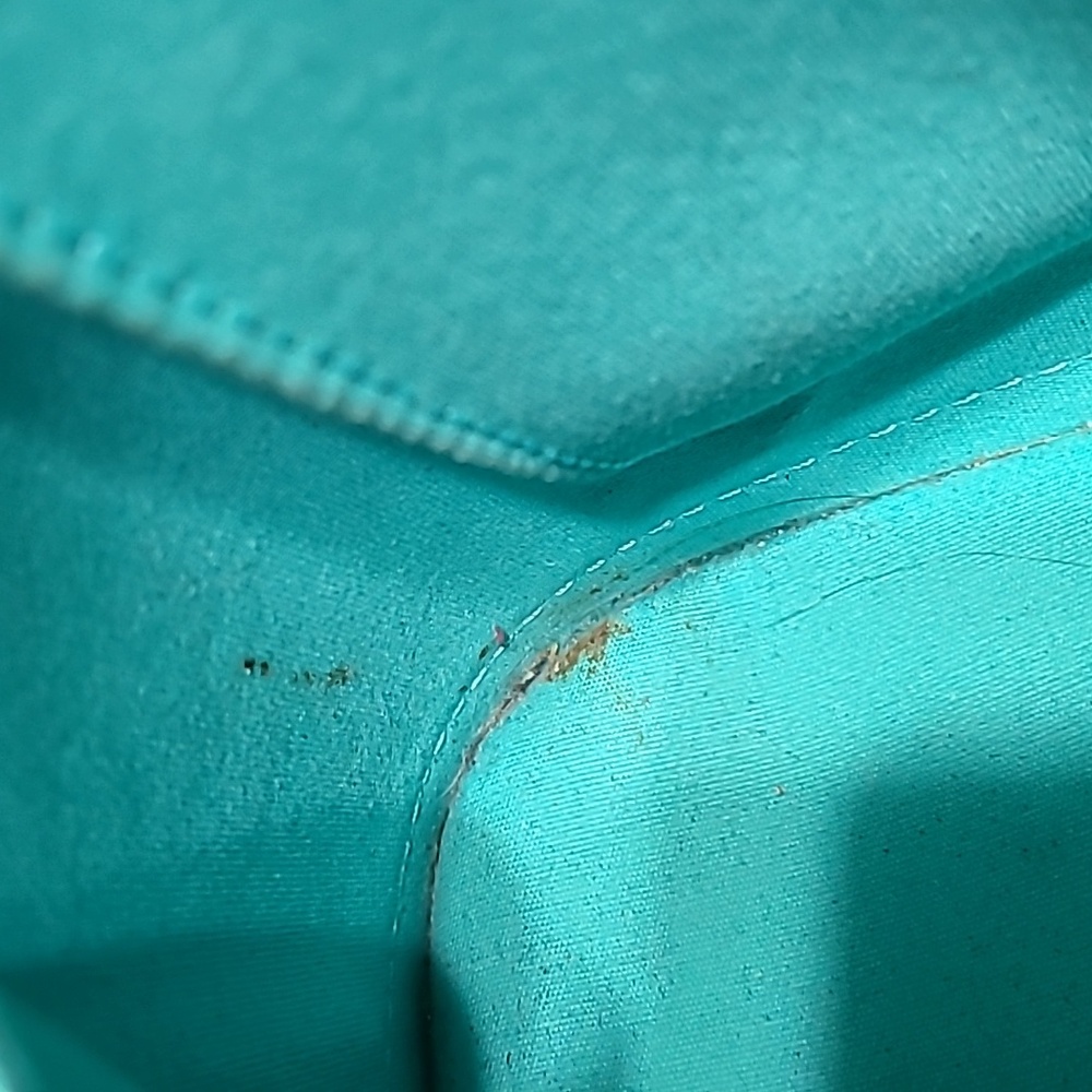 Louis Vuitton Alma BB In Green Vernis - Picture 12 of 12